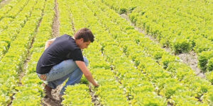 Agricoltori-Ue, tensione alle stelle. I produttori non accettano l’accordo Mercosur, ma il malessere viene da lontano