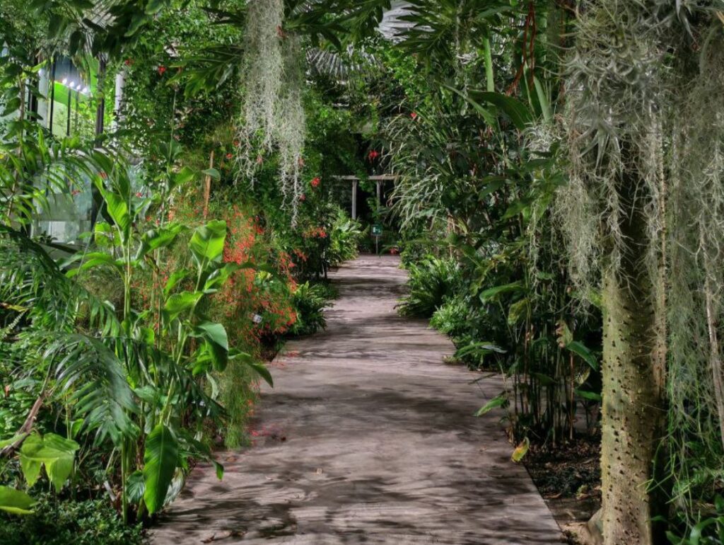 Foto da Pagina Fb Orto botanico di Padova