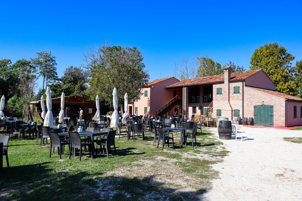 Da pagina Fb del Campo dei Girasoli