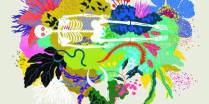 Un albo divulgativo sulla morte e la ciclicità della vita