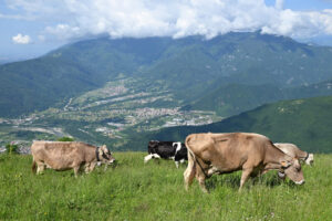 Zone montane, approvata la legge