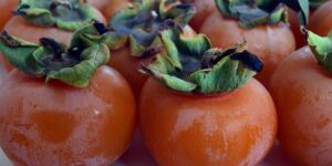 Arriva il tempo dei diòsperi, i cachi, frutto che annuncia il Natale