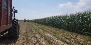 Annata agraria. Il 2025 padovano veste in chiaroscuro