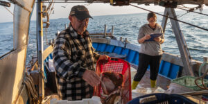 La laguna veneta, il fragile asilo nido del Mediterraneo