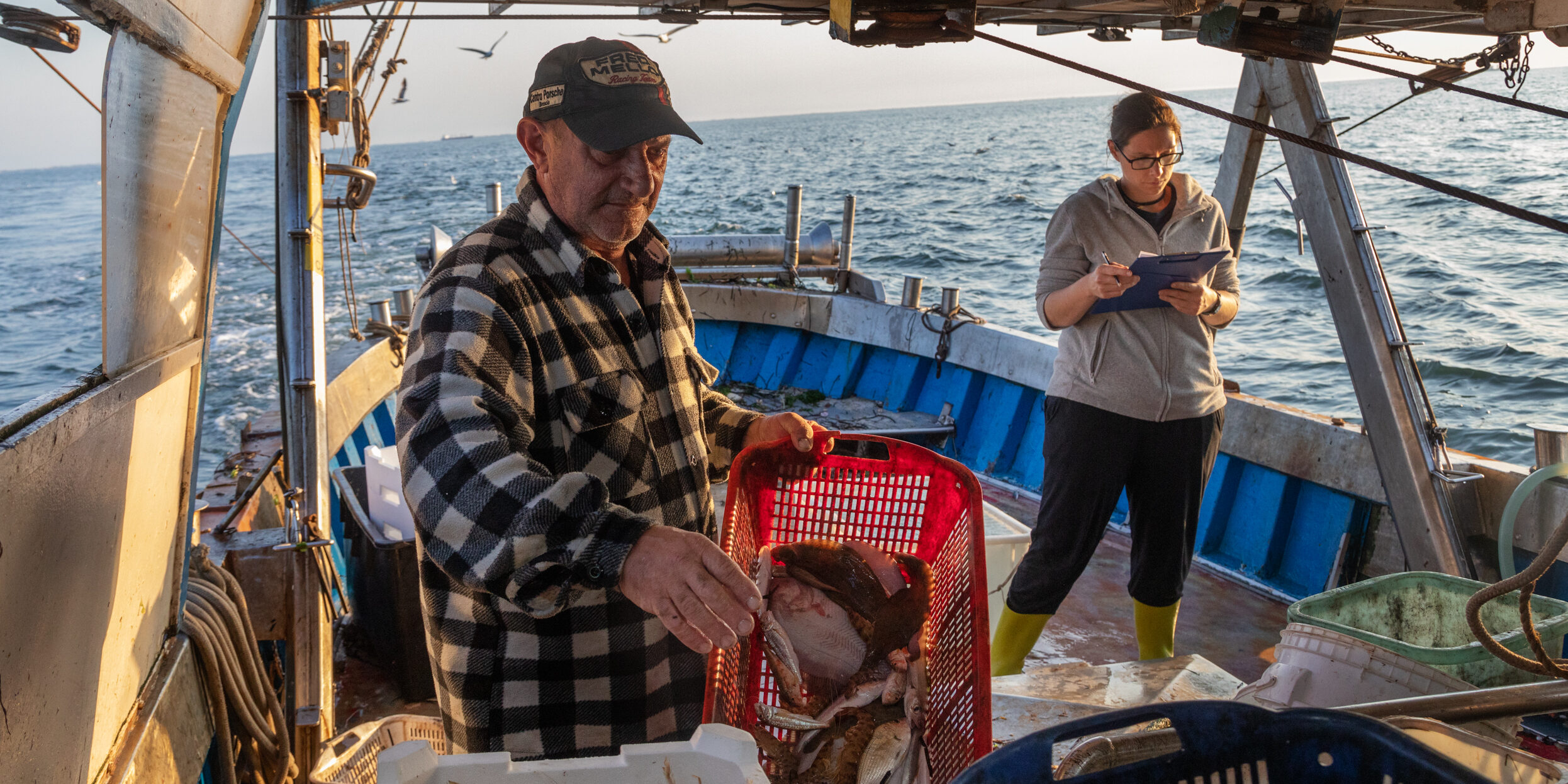 La laguna veneta, il fragile asilo nido del Mediterraneo