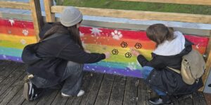 Amici a 4 zampe tra Villa del Conte e Rubano. Un nuovo ponte color arcobaleno e una raccolta fondi per il canile