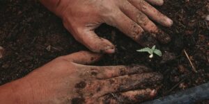 Lasciamoci spiazzare da Dio. C’è una gioia promessa…