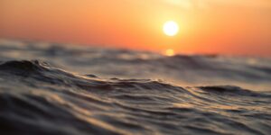 Csv Padova e Rovigo. L’anima dei volontari. E se è una femmina si chiamerà Futura