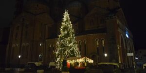 L’albero di Natale al Santo, giovedì la benedizione dell’abete bianco donato dalle valli del Primiero alla Basilica