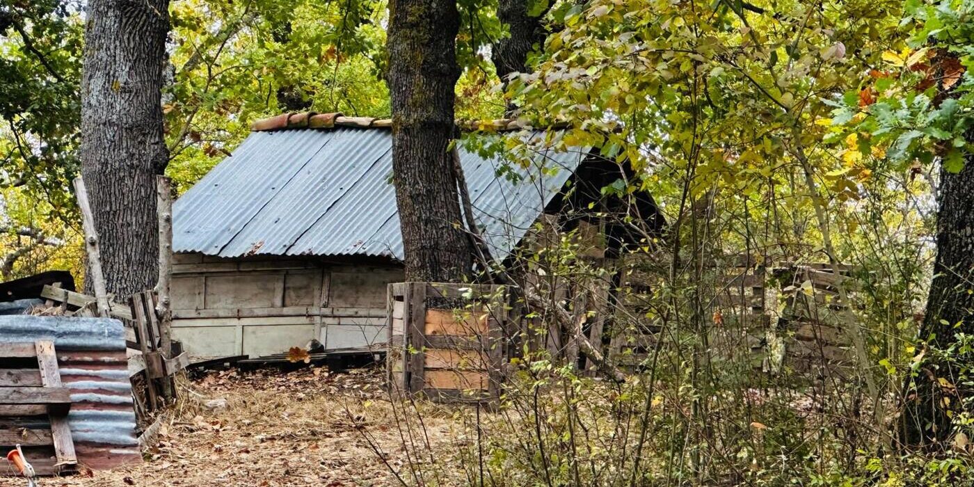 La “famiglia del bosco”