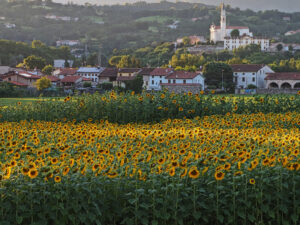 Dal Municipio al Campanile. Zugliano