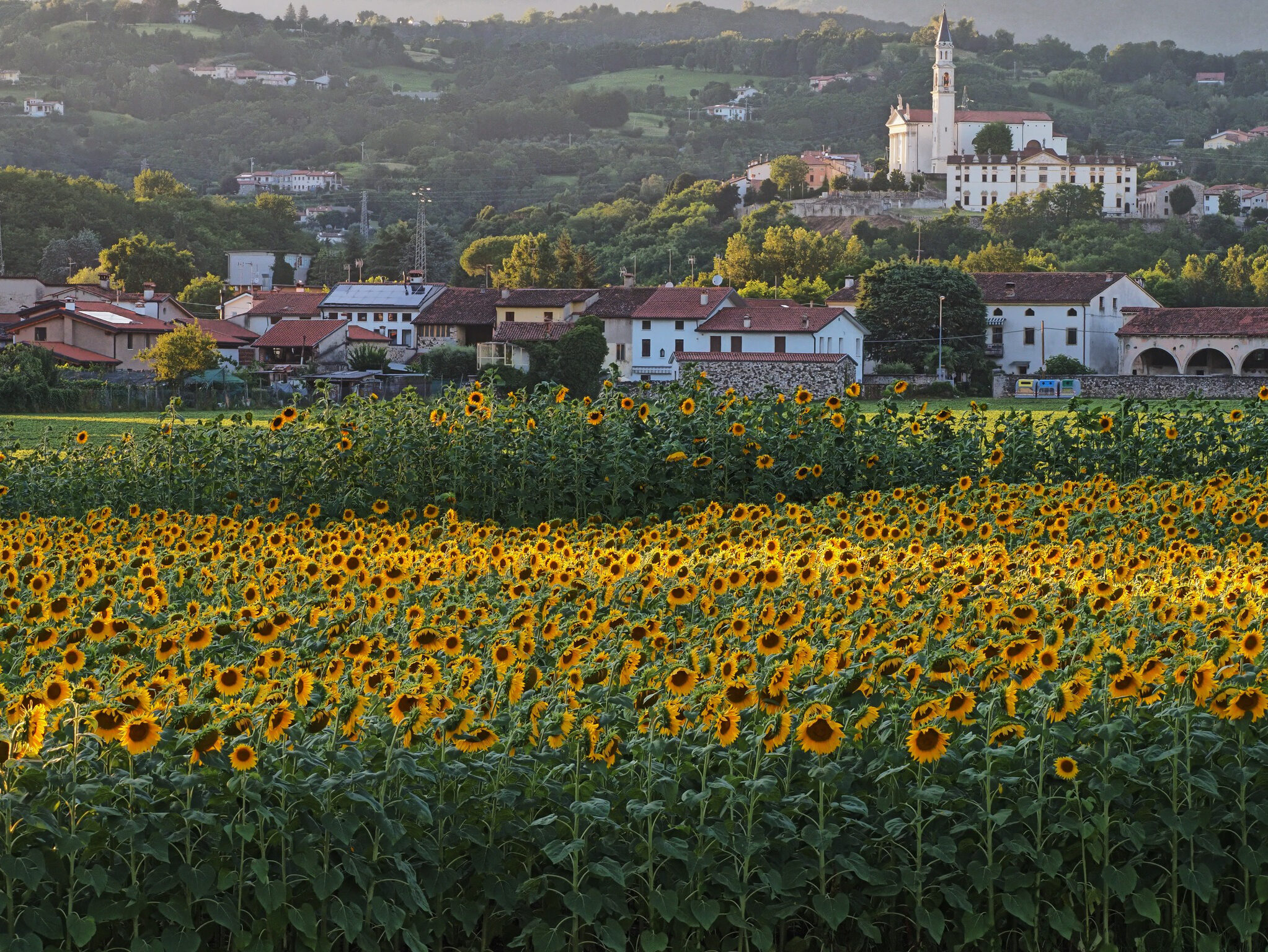 Dal Municipio al Campanile. Zugliano