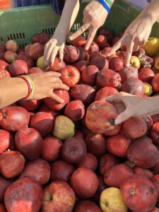 Spreco alimentare. Re.T.E Solid.A, ogni anno salvate tonnellate di cibo