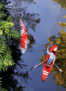 Un libro sui perché della vita per bambini dai 4 anni su