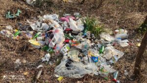 Brenta sotto assedio: nel 2025 recuperate 40 tonnellate di rifiuti dagli argini