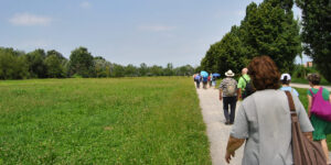 Bosco di Rogoredo. Ai margini di Milano un’esperienza di cura e accoglienza, Nocetum