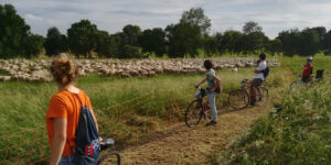 Rogoredo, da “boschetto della droga” a parco vissuto. Vargiu (Italia Nostra), “Prendersi cura restituisce i luoghi alla città”