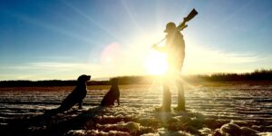 È tutela della fauna o solo caccia?