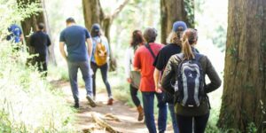 Cambia il tuo profilo. Lent edition