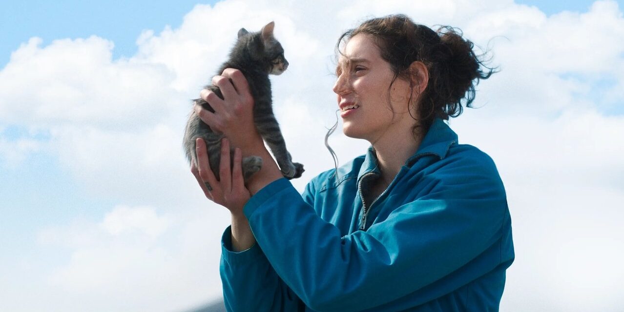 Quanto stress questa comicità