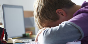 Cyberbullismo, “pandemia da affrontare”. Un Piano d’azione europeo