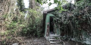 Futuro incerto: così la memoria arrugginisce. Il respiro del Venda #7