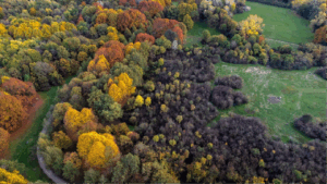 Patrimonio culturale europeo: radici e frutti di una storia inclusiva