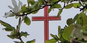 Formazione, respiro che mantiene viva la nostra vocazione