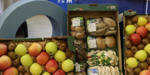 Fedagripesca Confcooperative. Spazio a giovani e aggregazione