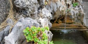 Lasciamoci toccare dalle mani e dalle parole del Maestro