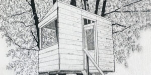 Daniele Zovi, Fra i rami. Uno sguardo dall’alto