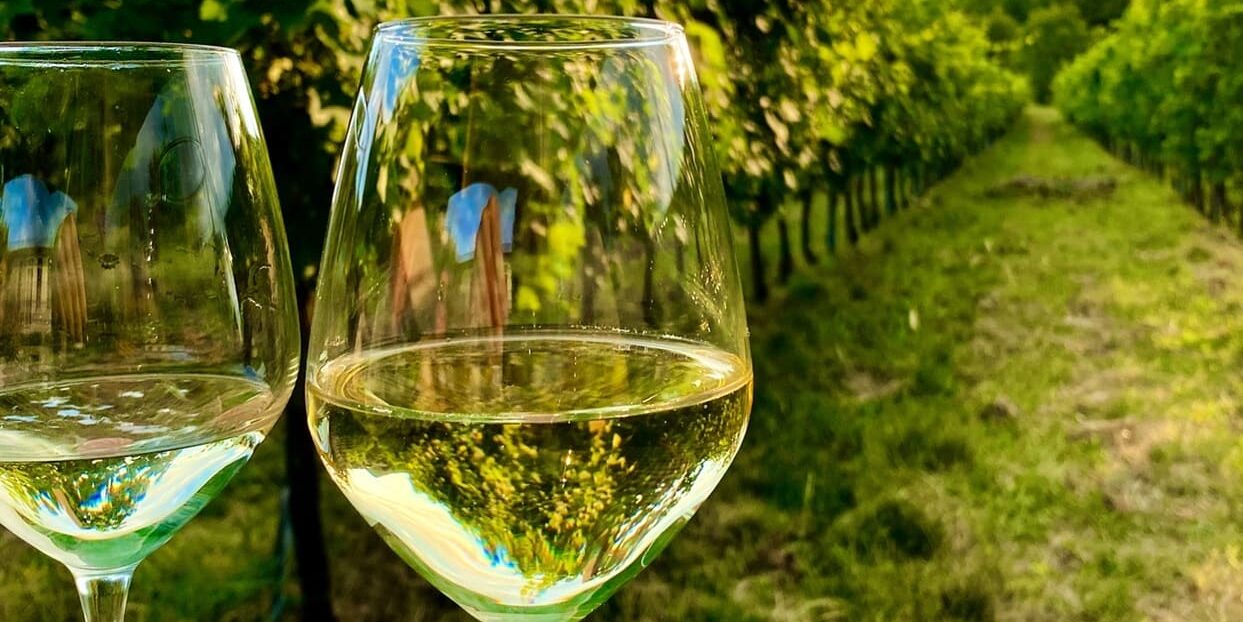 Il vino veneto rimane ancora una certezza