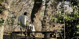 Famiglia nel bosco. Rossi (psicologa): “I bambini non sono pagine bianche da scrivere a piacimento”