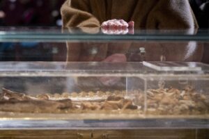 San Francesco: l’ostensione come lezione di leadership per il nostro tempo