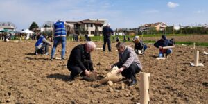 I boschi ritornano in pianura