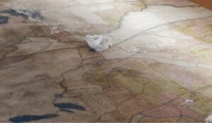 Stanghella. Borghi, locande, alberi sacri in una carta catastale del Seicento