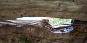 «Mio Signore e mio Dio»: il passaggio dal dubbio a una fede più profonda