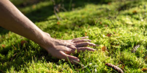 Padova Climate action week. In difesa del Creato, una scelta cristiana