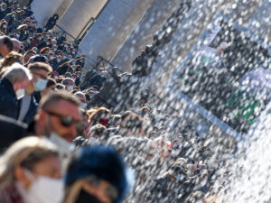 Siamo interconnessi, ma chi lo ha compreso?