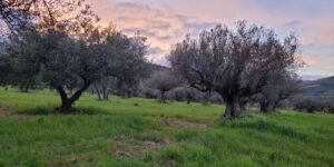 Giornata mondiale della Terra. Milano: “Non siamo spettatori impotenti, ma protagonisti”