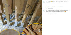 “Schlaraffenland”. L’organo rosicchiato dai topolini durante la chiusura per Covid