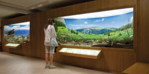 Musei Altovicentino. Patrimonio culturale diffuso