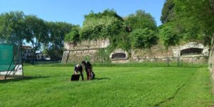 La lettera. Amissi dell’Alicorno. Il canale Alicorno e la canaletta di Prato della Valle