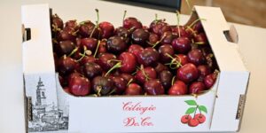 Galzignano Terme. Il 2 giugno è “Festa dea saresa”