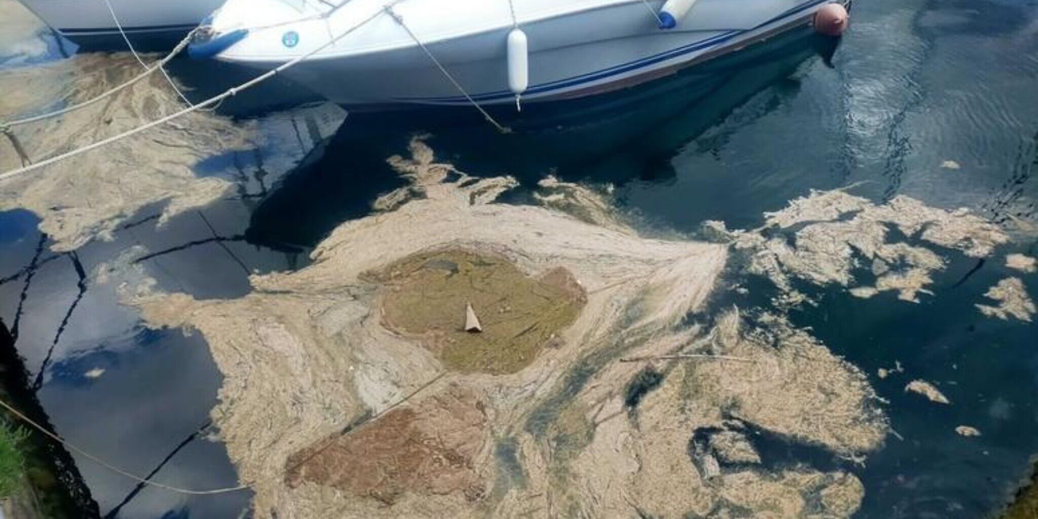 La pesca locale impantanata tra granchio blu e mucillagine