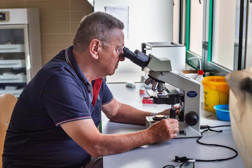 Vittorio Rossi, medico di laboratorio durante un esame al microscopio. Una delle maggiori cause di malattie è la presenza di batteri nell’acqua.