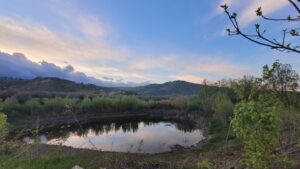 Giornata mondiale ambiente. Masullo: “Transizione ecologica e resilienza territori unici strumenti per affrontare crisi climatica”