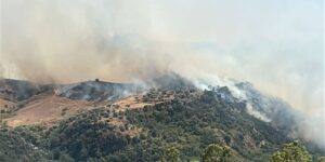 Incendi: responsabilità, presidi e coscienze in allerta