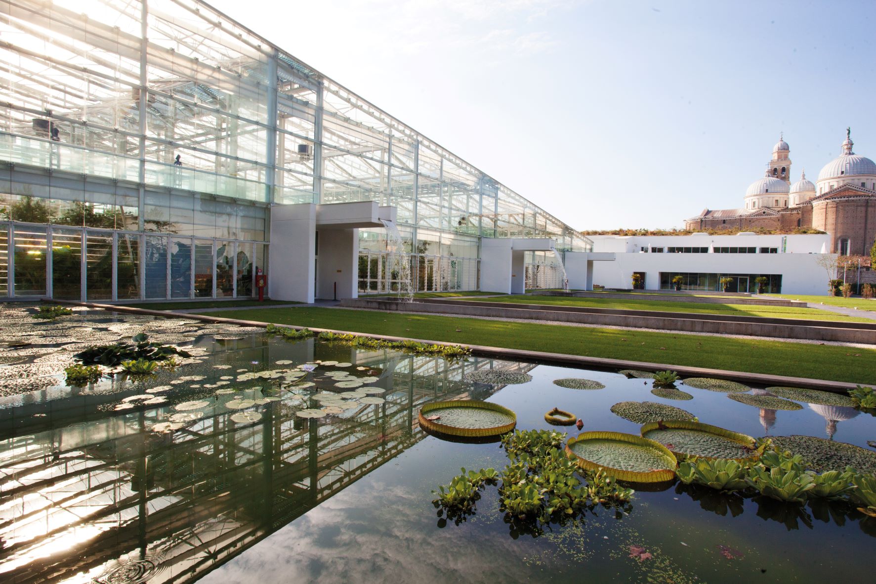 All’Orto botanico di Padova torna “L’orto dei sogni”