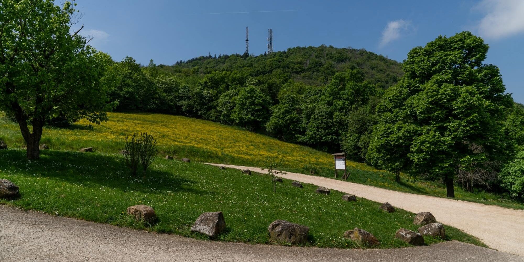 Teolo. Museo a cielo aperto tra natura e creatività a Passo Fiorine